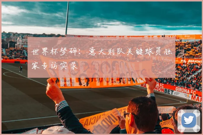 世界杯梦碎：意大利队关键球员独家专访实录