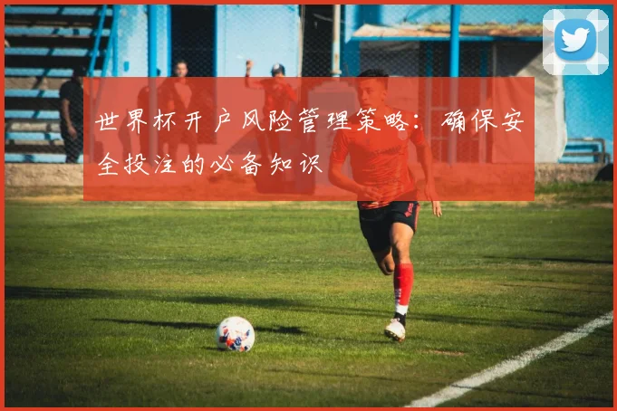 世界杯开户风险管理策略：确保安全投注的必备知识