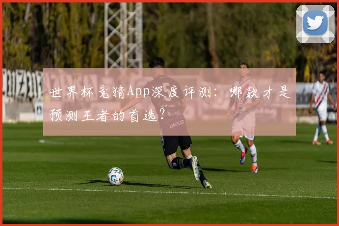 世界杯竞猜App深度评测：哪款才是预测王者的首选？