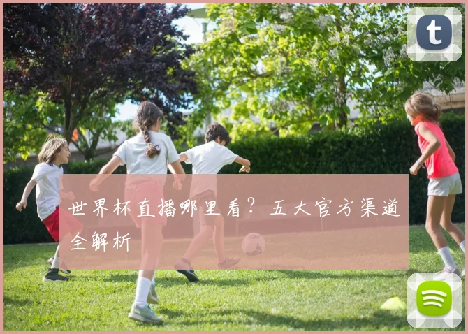 世界杯直播哪里看？五大官方渠道全解析